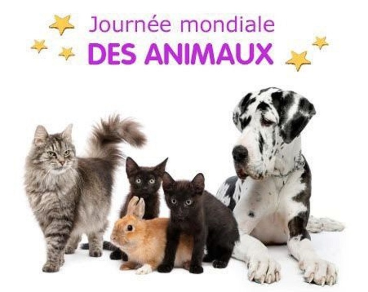Journée Mondiale des animaux