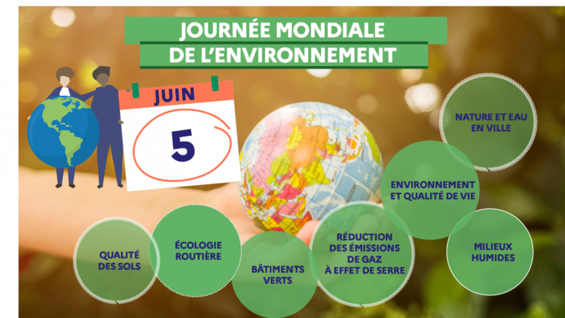Journée Mondiale de l'environnement